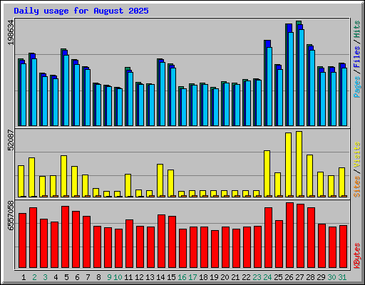 Daily usage for August 2025