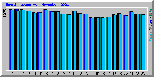 Hourly usage for November 2021