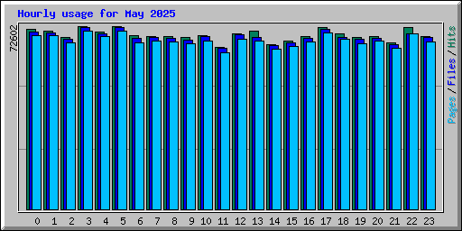 Hourly usage for May 2025