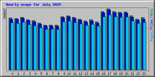 Hourly usage for July 2025