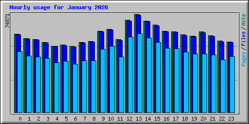Hourly usage for January 2026