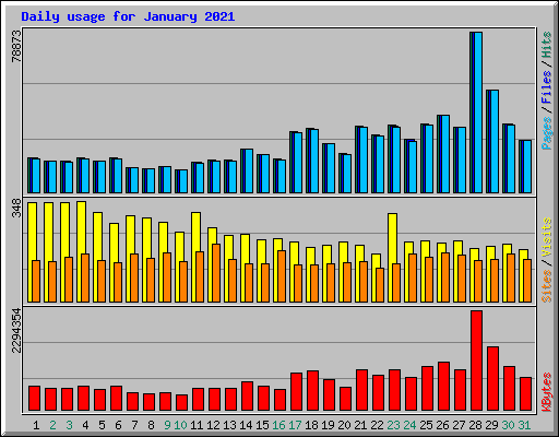 Daily usage for January 2021