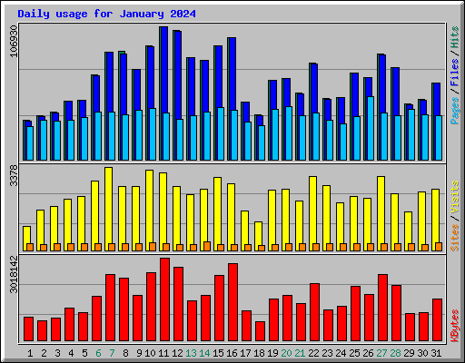 Daily usage for January 2024