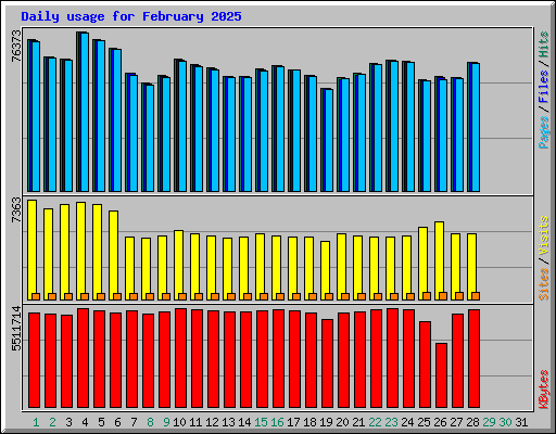 Daily usage for February 2025