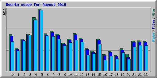 Hourly usage for August 2016