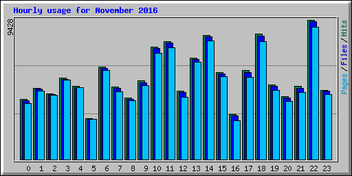 Hourly usage for November 2016