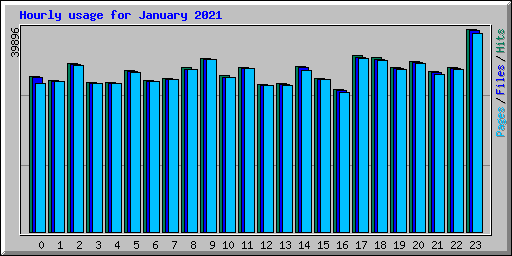 Hourly usage for January 2021