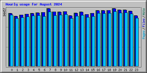 Hourly usage for August 2024