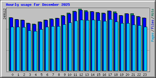 Hourly usage for December 2025