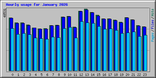 Hourly usage for January 2026